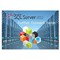 微软 SQL Server 2012 OLP NL 标准版(4核CPU)产品图片1
