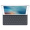 苹果 iPad Pro 9.7英寸平板电脑（苹果A9 2G 128G 2048×1536 iOS9 WLAN）深空灰产品图片3