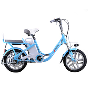 喜德盛 电动自行车48V锂电池电动车16寸一体轮电动自行车豹子5 蓝色 ( 韩国LG电池 )