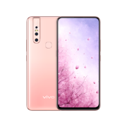 vivo S1 宠爱粉