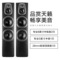 惠威 D60HT+Sub10G家庭影院音箱套装5.1声道hifi木质落地式客厅KTV电视音响组合产品图片2